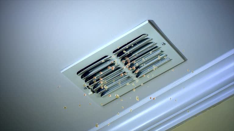 Best Home Air Vent Cleaning  in Pine Bush, NY